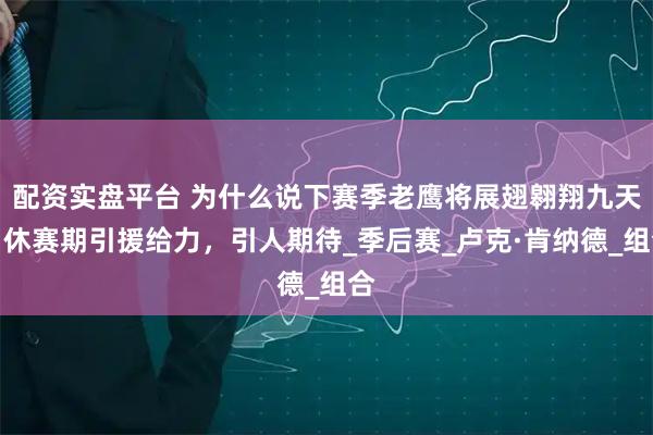 配资实盘平台 为什么说下赛季老鹰将展翅翱翔九天？休赛期引援给力，引人期待_季后赛_卢克·肯纳德_组合