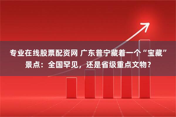 专业在线股票配资网 广东普宁藏着一个“宝藏”景点：全国罕见，还是省级重点文物？