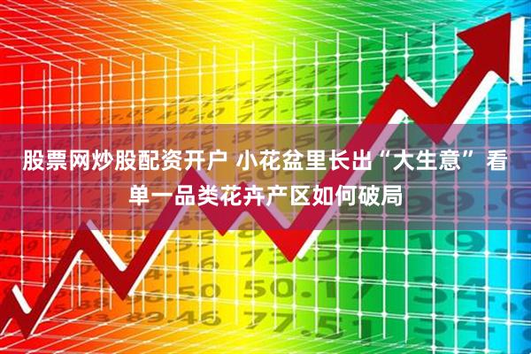 股票网炒股配资开户 小花盆里长出“大生意” 看单一品类花卉产区如何破局